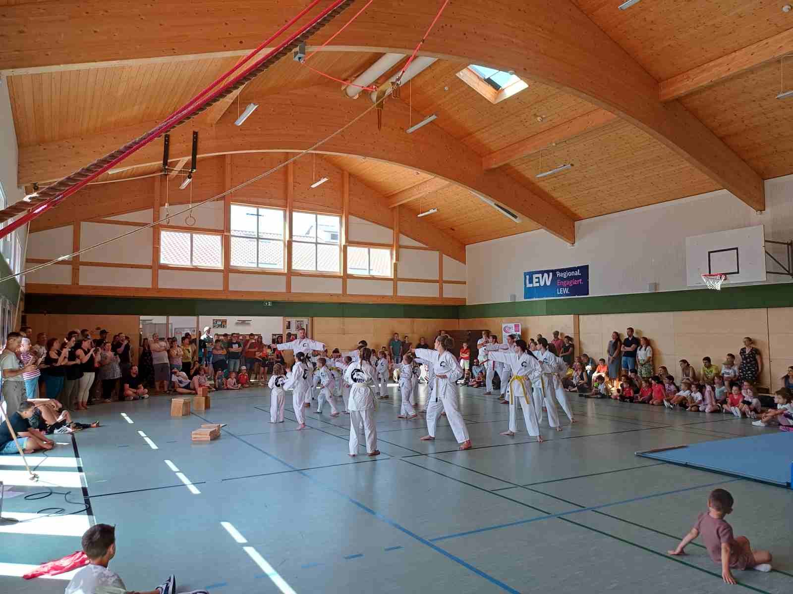 Budo Fit (5)