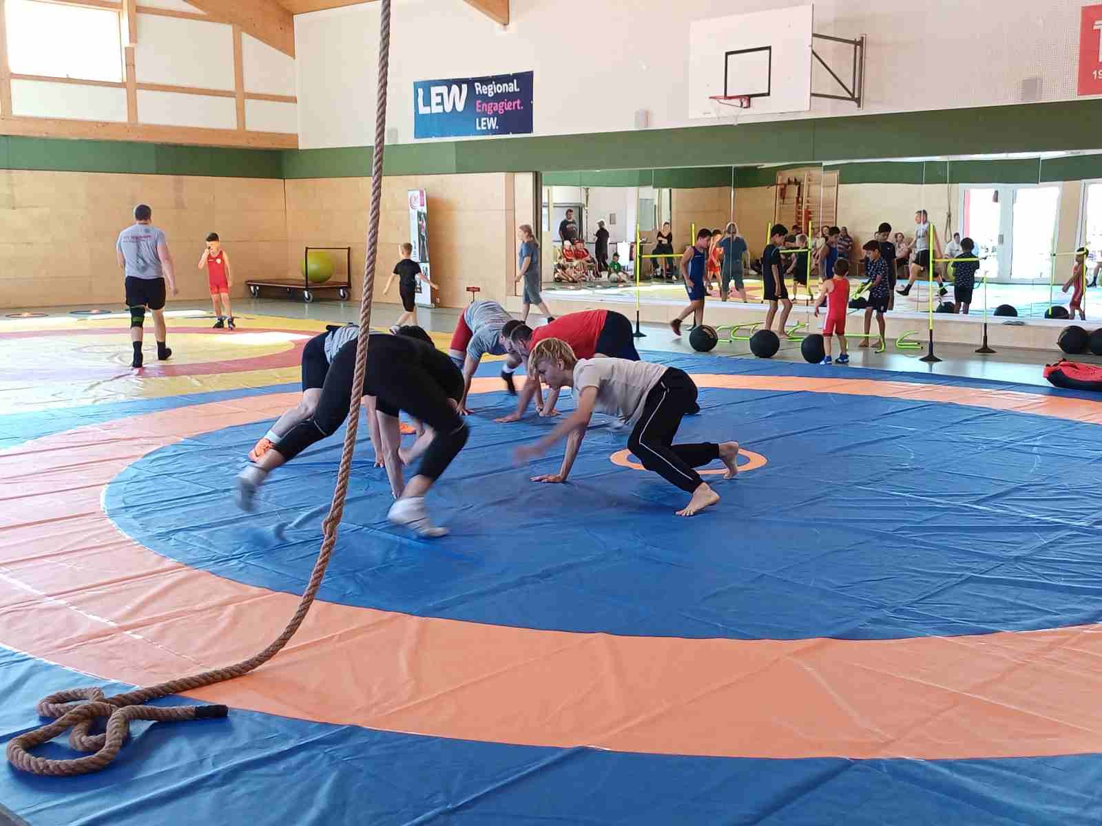 Ringer-Training (1)